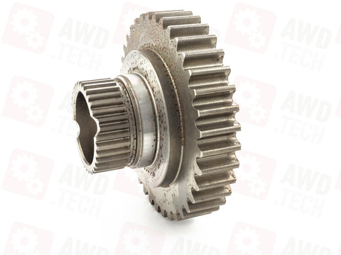 Koło łańcuchowe (wymiar 1