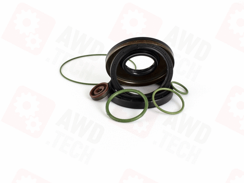  Zestaw uszczelniający (dla 95B)