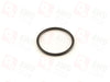 27107593451, 673002350 Dichtung O-Ring (für ATC350/ATC35L/ATC450/ATC45L/Hyundai ATC/Maserati ATC/PL72 ATC)